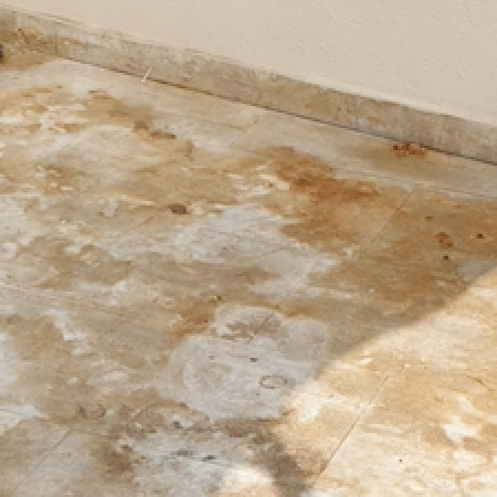 Leichenfundortreinigung